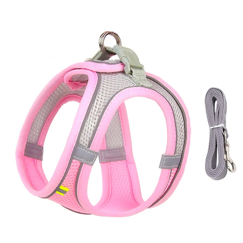Conjunto Coleira Petz para Cachorro e Gatos